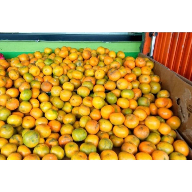 

jeruk medan super manis paket 5 kg lebih murah