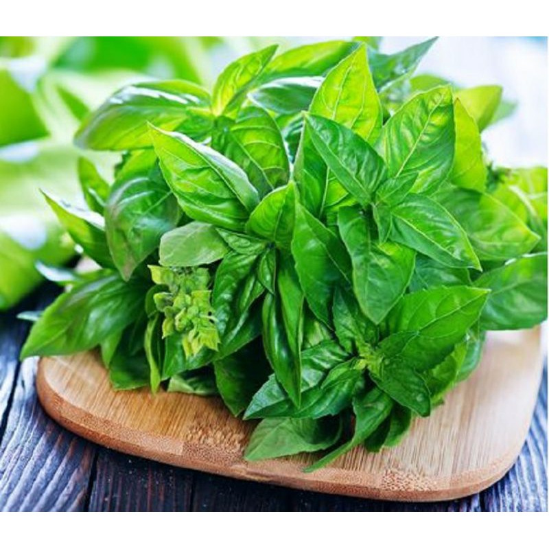 

Kemangi Fresh 150 Gram