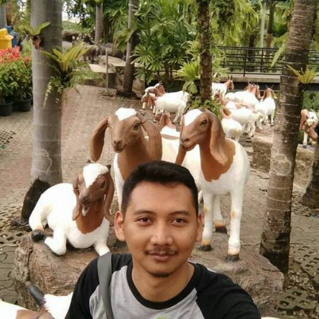 randykurnia