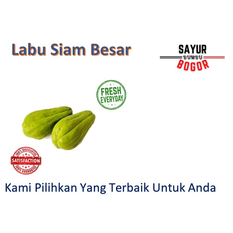 

Labu Siam Besar / Gambas 1 Buah / Gambas Sayur
