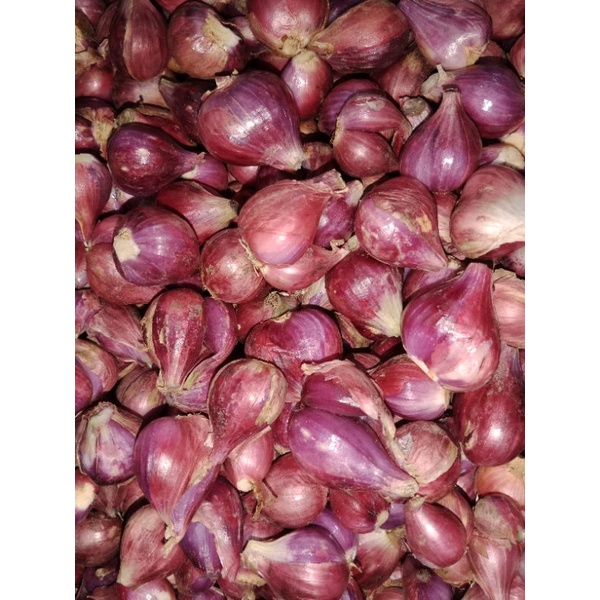 BAWANG MERAH BREBES ASLI SUPER  1kg