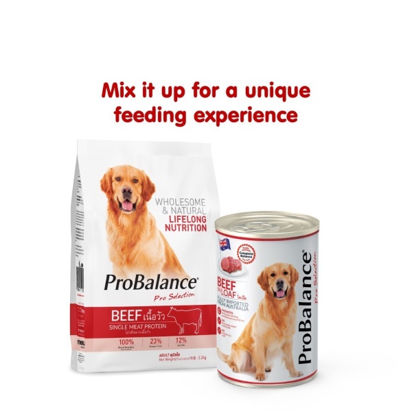 ProBalance Beef 3.2kg 3.2 kg Makanan Anjing Kering Dogfood Pro Balance