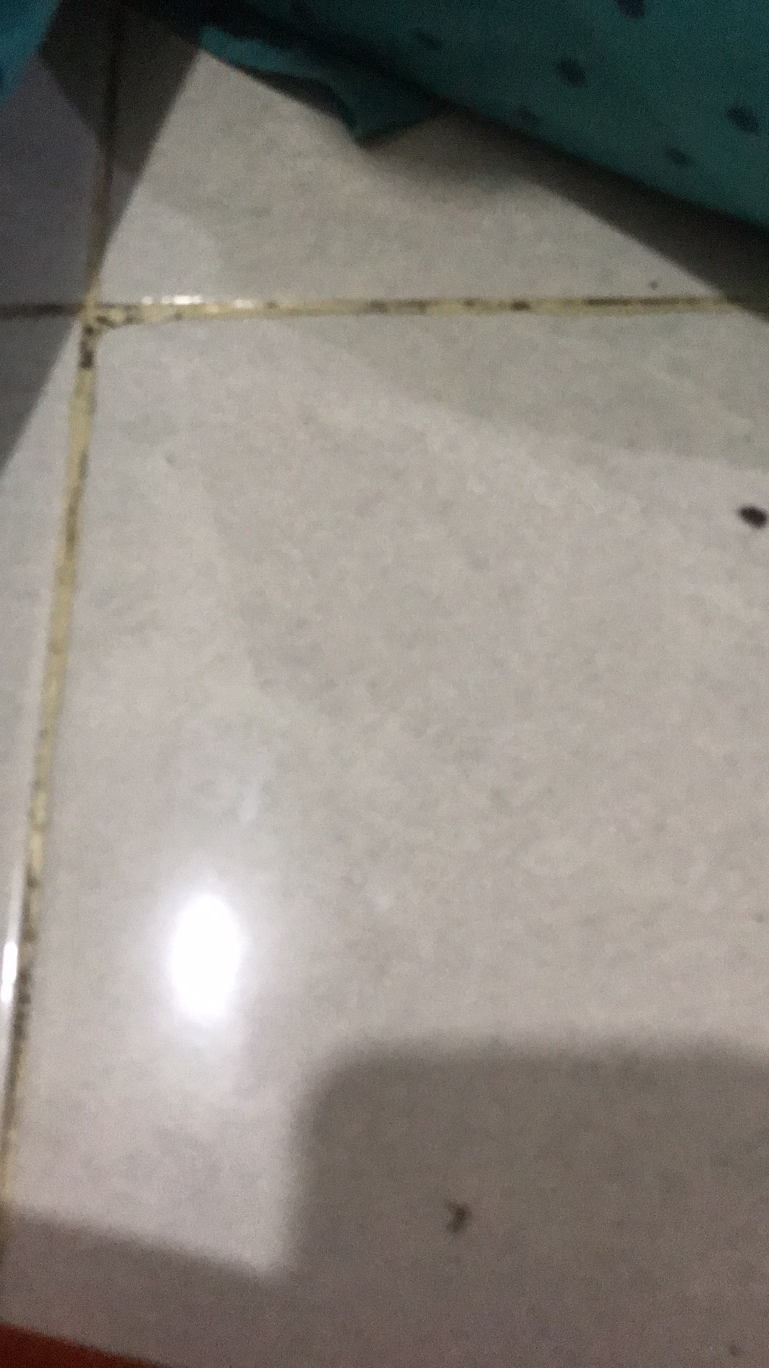 Tempat Dimsum Satuan 13cm/klakat Basket Kukusan Dim Sum Anyaman