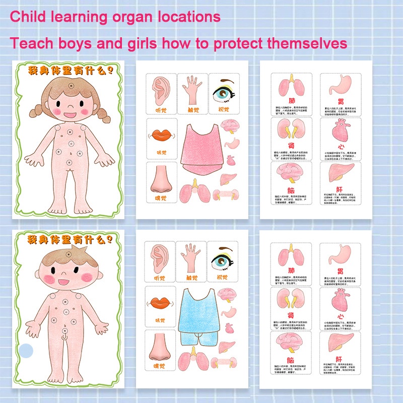 Puzzle Anak Model Organ Tubuh Manusia Anak Ipa Alat Mengajar Edukasi Belajar Dini