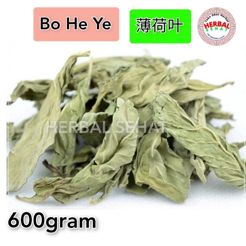 

[600gr Grade A, Full Daun] Bo he ye Herbal Daun Mint Kering Premium - Menthol Dried Peppermint Leaf