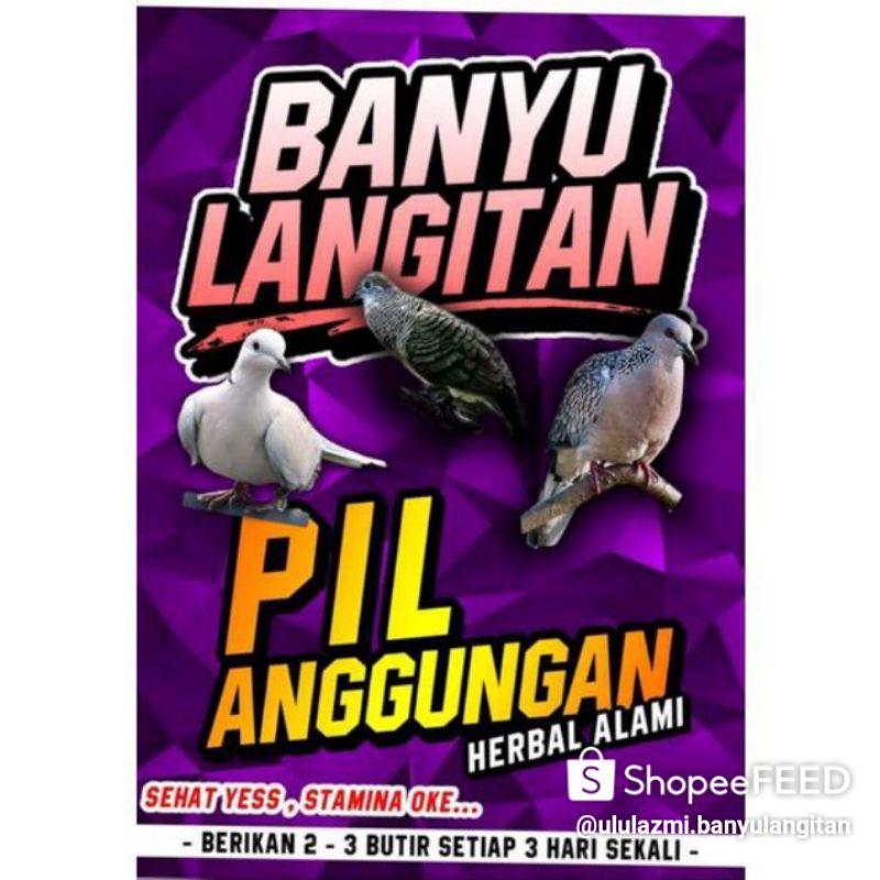 pil perkutut banyu langitan