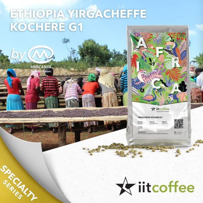 

Arabica Green Beans - Ethiopia Yirgacheffe Kochere G1 Washed - 1Kg -Diskon Sd 50%