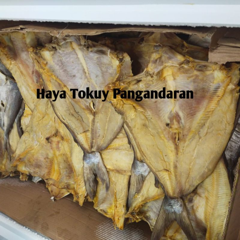 

Ikan Jambal Roti Super Pangandaran