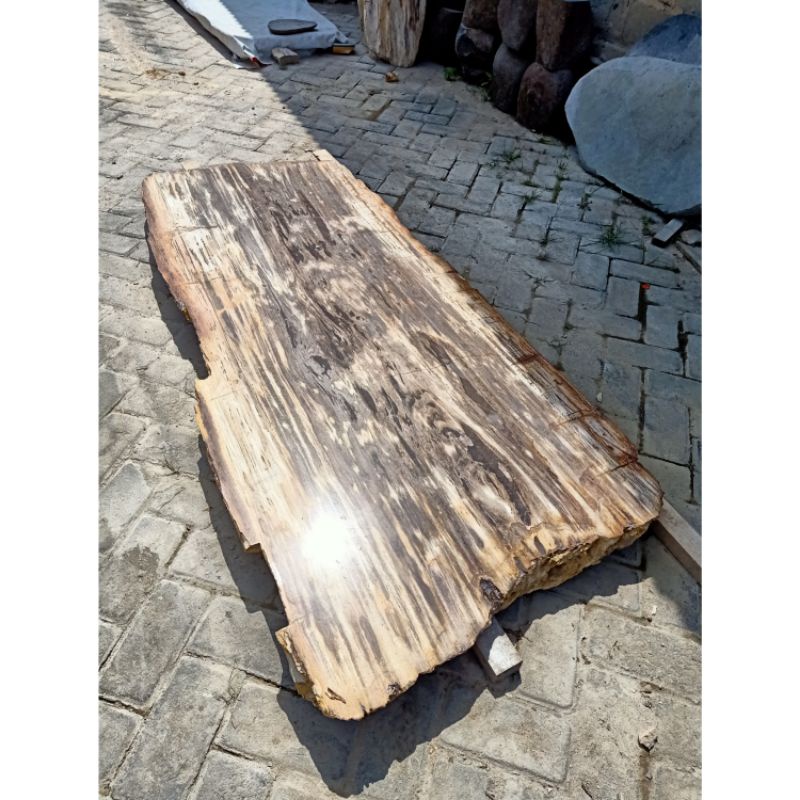 Daun Meja Natural Fosil Kayu Tulungagung