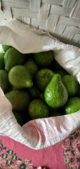 

Buah alpukat|buah alpuket|1kg|buah segar|buah segar bandung|nuri fruits
