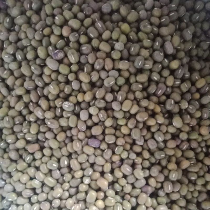 

kacang hijau lokal 1kg