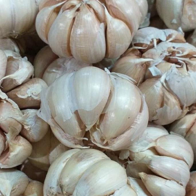 

[[COD]] Bawang putih 250gr TERLENGKAP Kode 1206