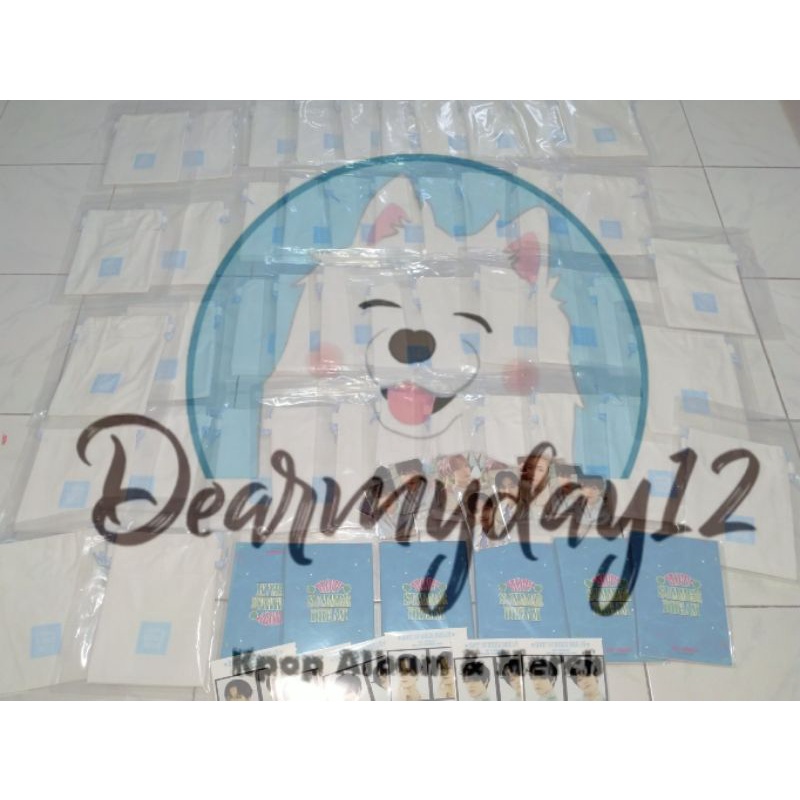 READY STOCK MINIBAG HOT SUMMER CHENLE JISUNG