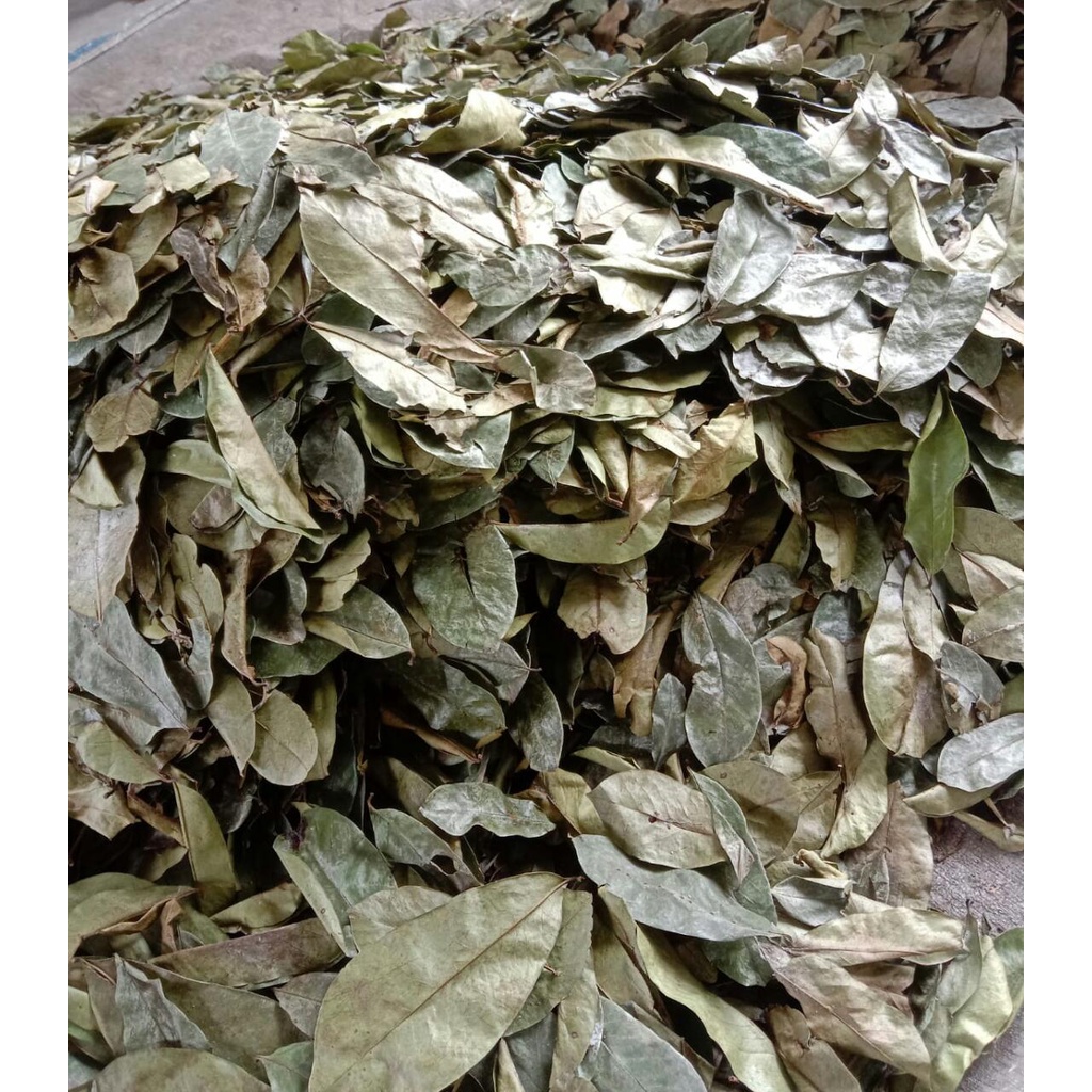 

Daun sirsak kering 500gr