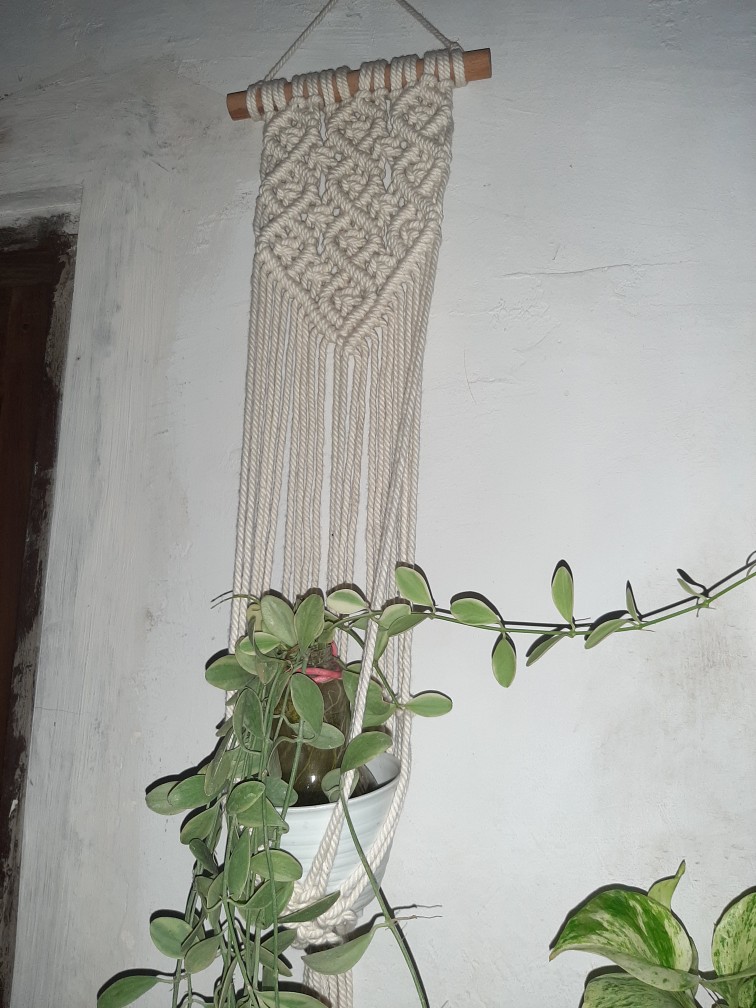 Macrame / Plants Hunger /wall Hinging /gantungan Pot / Wall Decor /hiasan Dinding