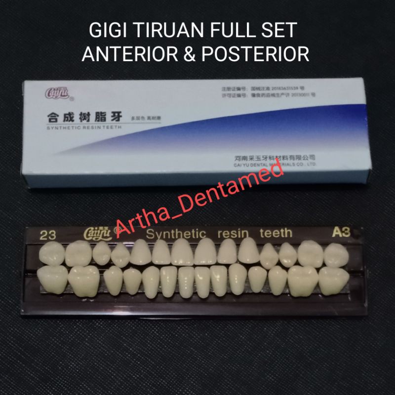 GIGI TIRUAN FULL SET ANTERIOR &amp; POSTERIOR