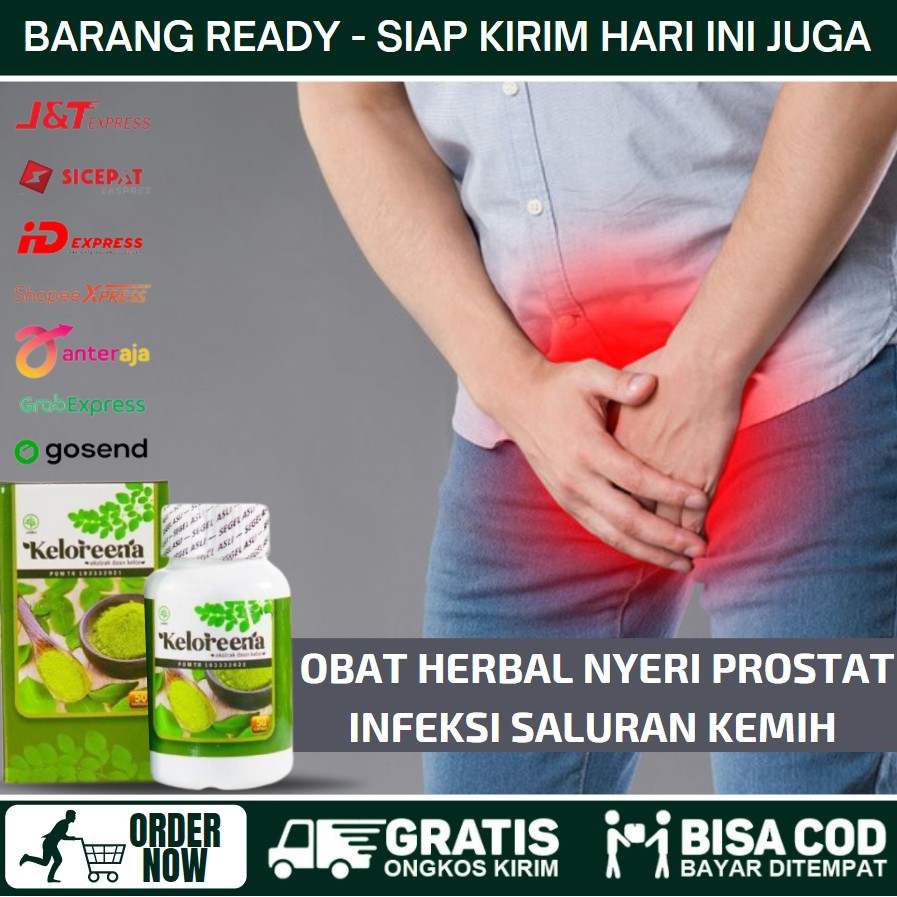Obat Herbal Alami Penyakit Prostat, Nyeri Prostat, Prostat Bengkak, Prostatitis, Herbal Keloreena