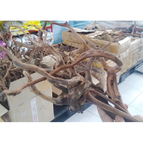 Kayu Akar Rasamala Aquascape Size M Dekorasi Hiasan untuk Aquarium 1pc