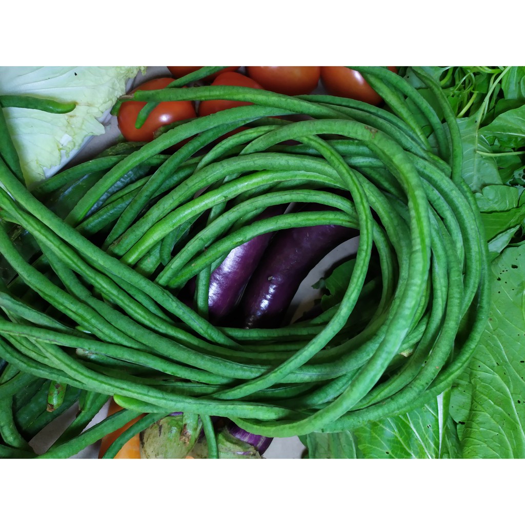 

Kacang Panjang 500 gram (GoSend Only)