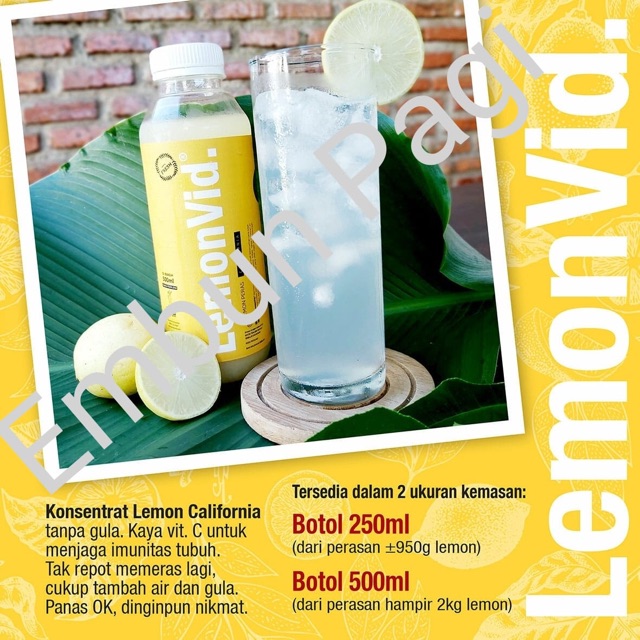 

LemonVid