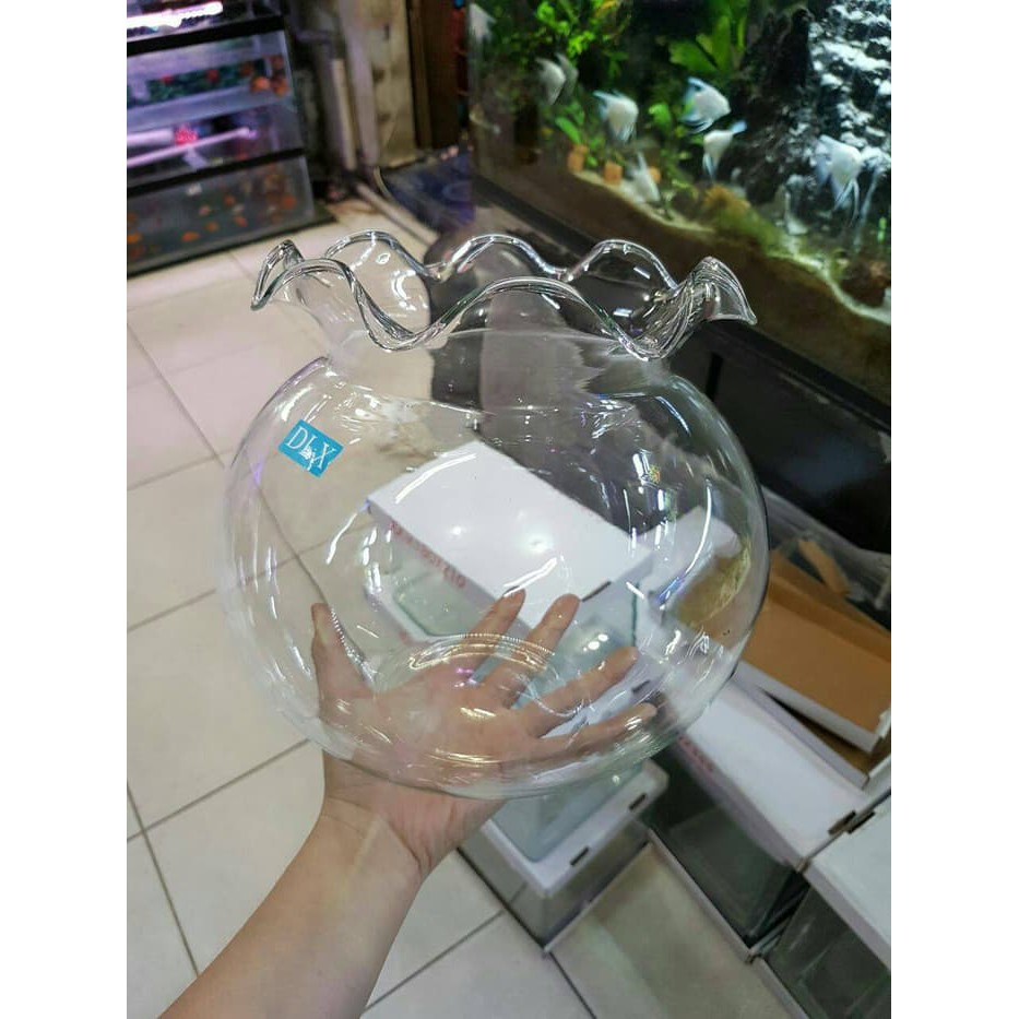 Hiel scherp Arena Jual Aquarium Bulat 7 Liter | Shopee Indonesia