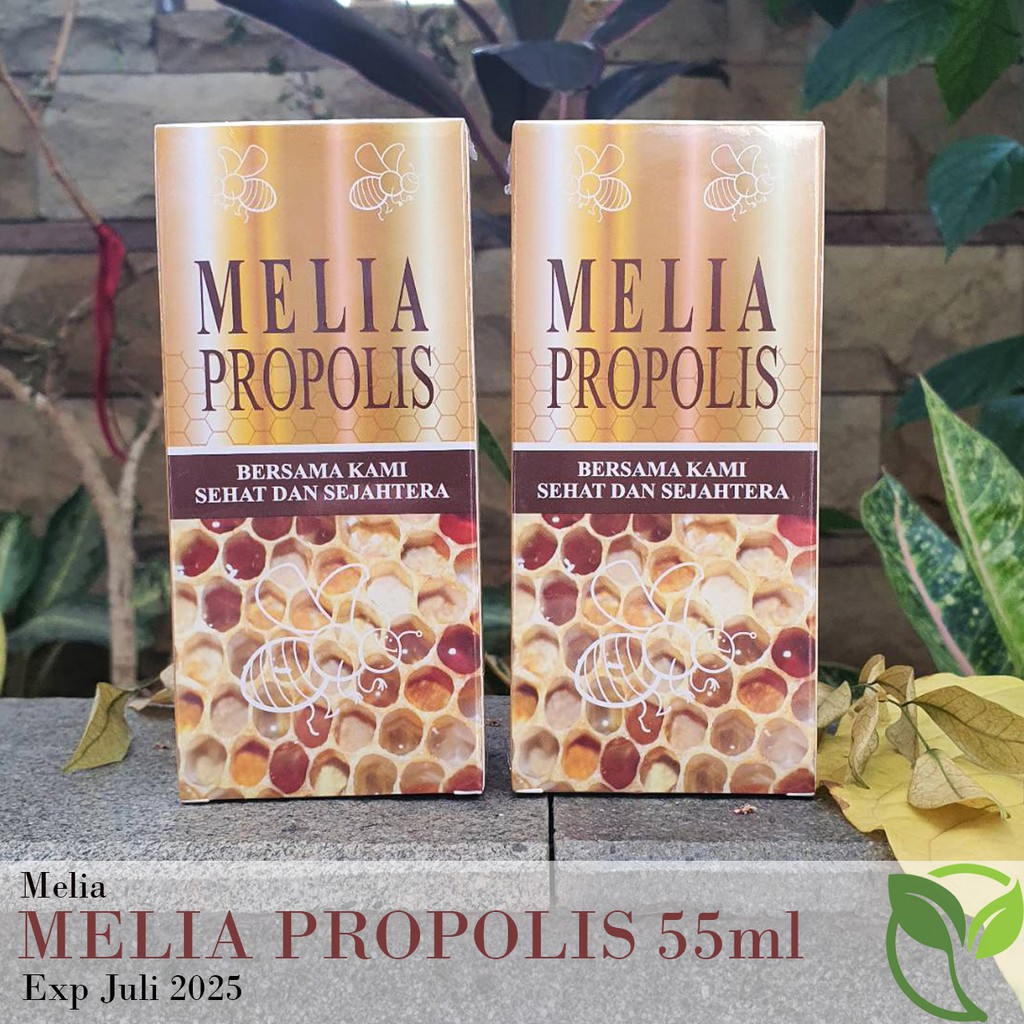 MELIA PROPOLIS OBAT TETES 55ML ORIGINAL