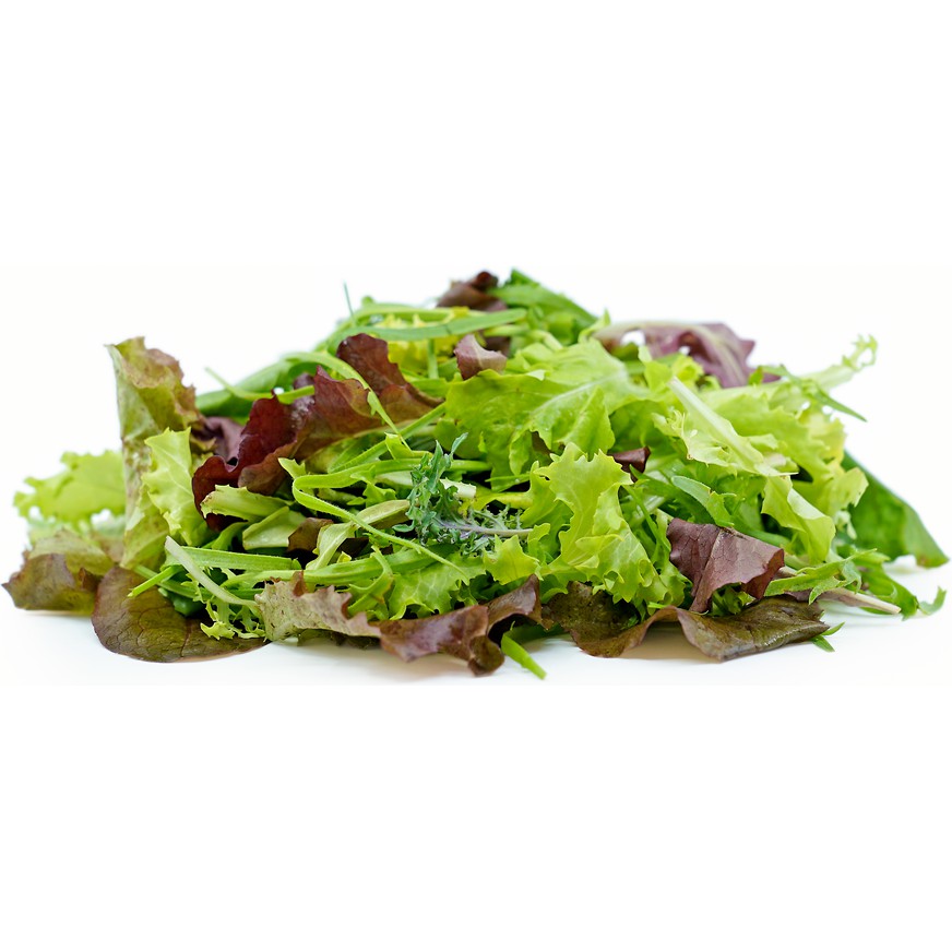 Benih Bibit Biji - Mesclun Mix Baby Salad Leaves Seeds - IMPORT