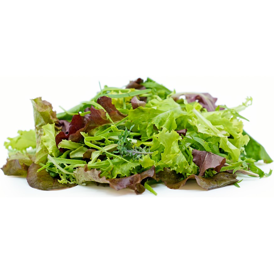 Benih Bibit Biji - Mesclun Mix Baby Salad Leaves Seeds - IMPORT