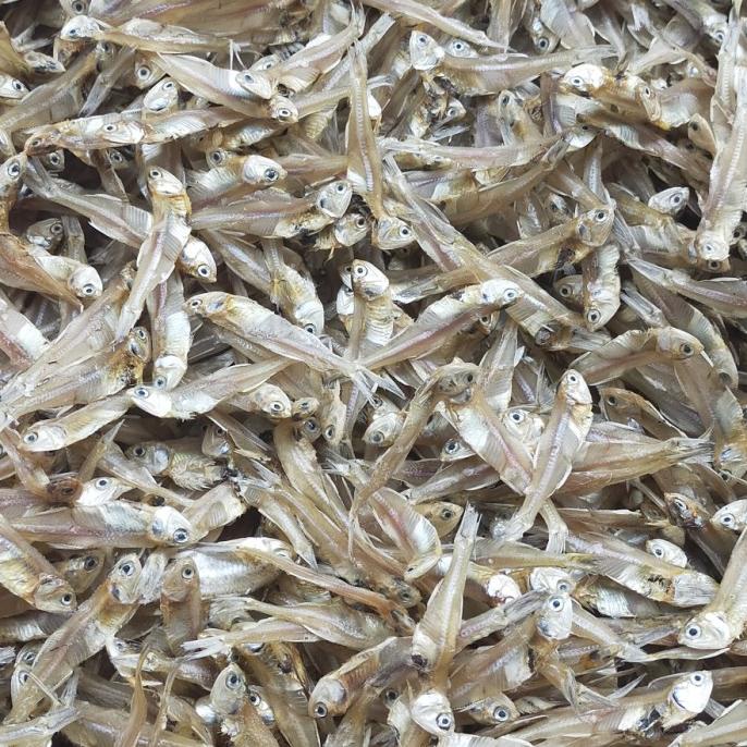 

Ikan Teri Besar Kualitas Premium 1Kg