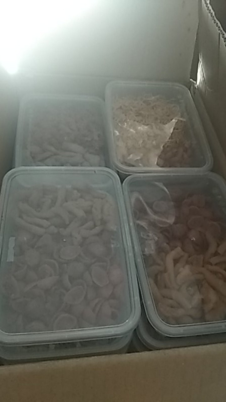 Thinwall Persegi Panjang(rectangle) 500ml/tempat Salad/box Nasi