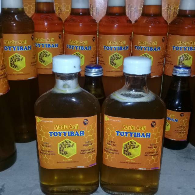 

Madu asli toyyibah