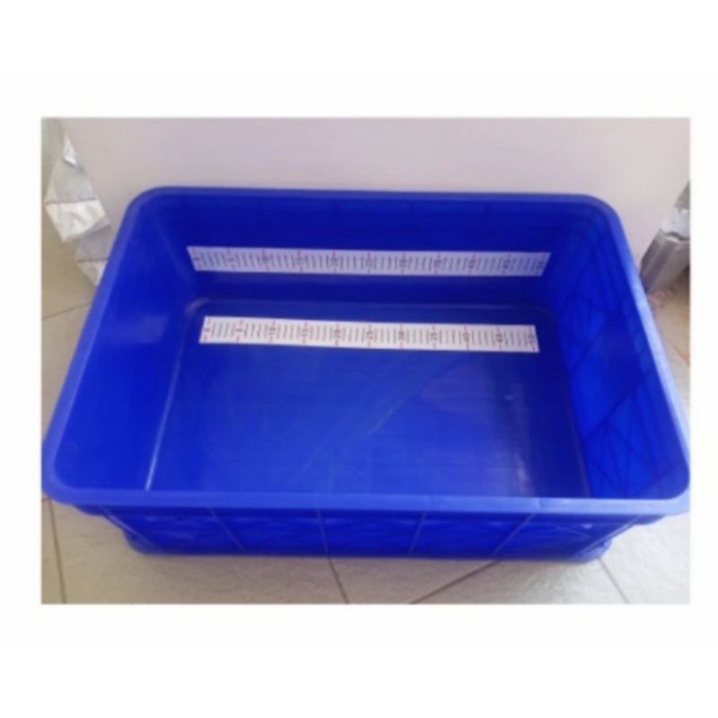 Bak Ukur Ikan Koi 50cm