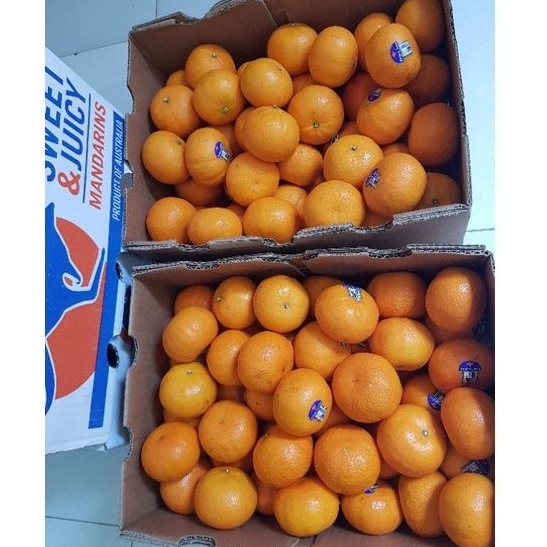 

jeruk honey murcot,buah jeruk palembang,jeruk wogan
