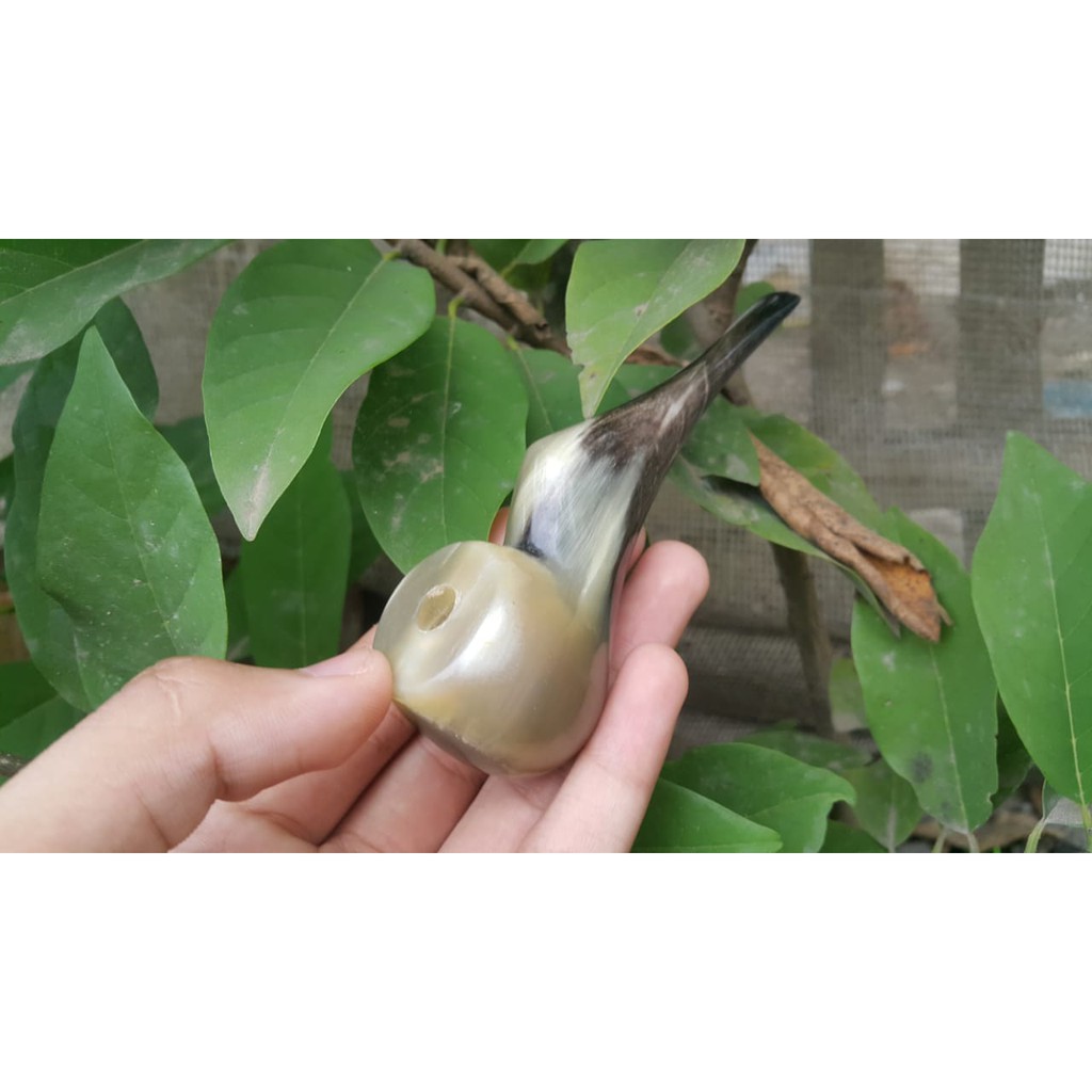 PIPA ONCE TANDUK SAPI BULE AUSTRALI - Bule Australi / pipa tanduk sapi cangklong abu antik / pipa