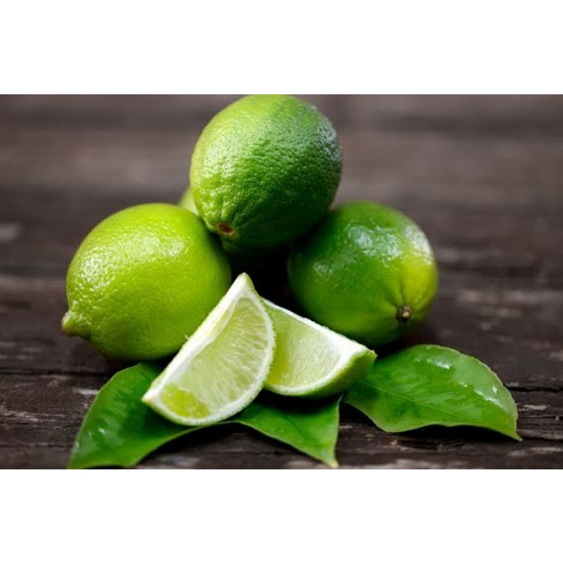 

jual jeruknipis frees