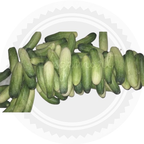 

Timun Segar 1000gr