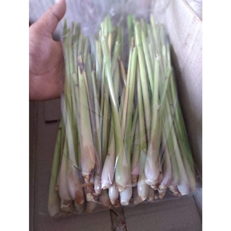 

sereh segar buat herbal dan bumbu masak