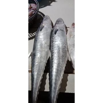 

ikan tenggiri di potong 500gr