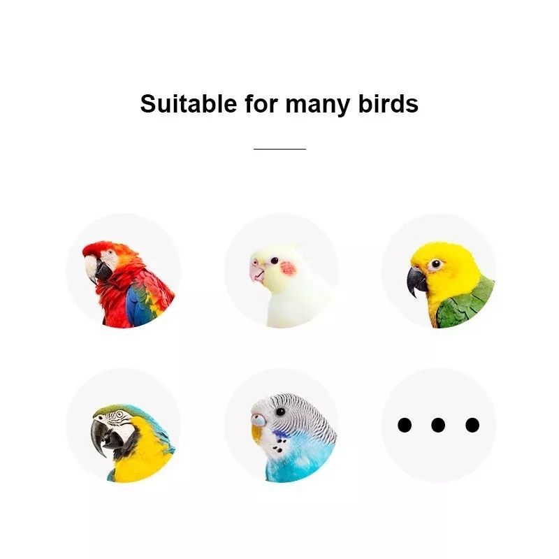 Mainan troli mini / shopping trolley untuk burung