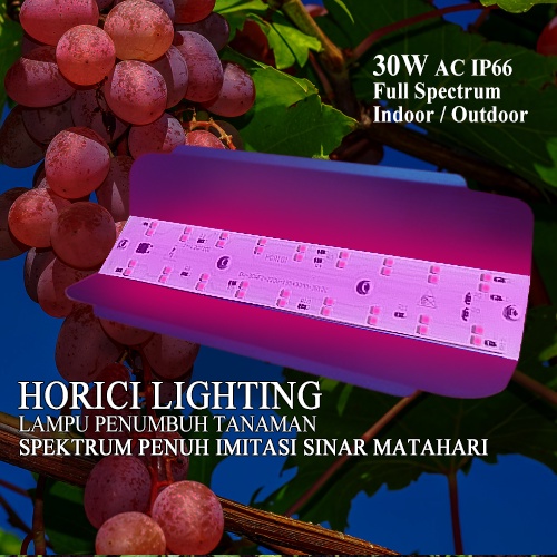 MEREK HORICI 220V 30W Lampu penumbuh tanaman  Tumbuhan Hidroponik indoor dan outdoor Plant Growth Lampu lampu tumbuh buah cepat