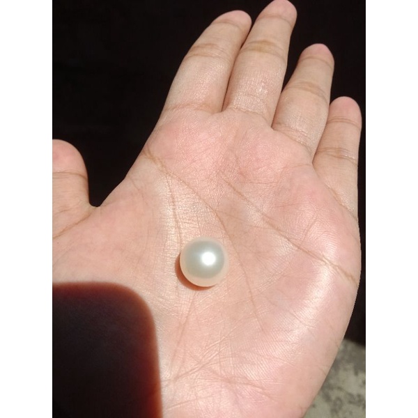 butiran mutiara air laut putih butiran mutiara air laut white mutiara laut