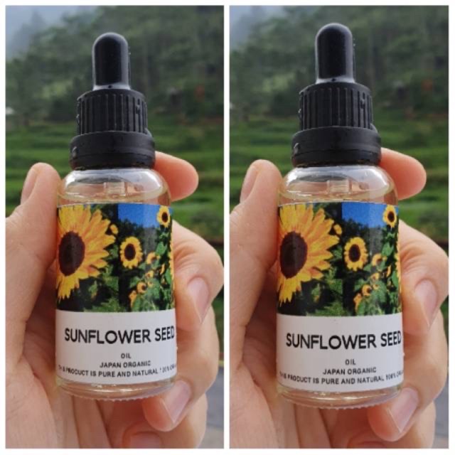 Sunflower seed oil / Sunflower Oil / Minyak biji bunga matahari / Minyak bunga matahari / jerawat