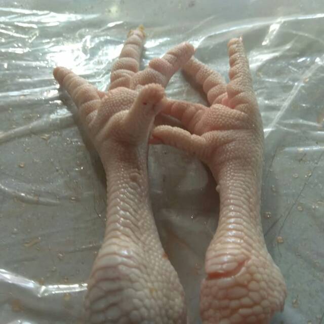 

Ceker ayam (kuku belum dipotong)