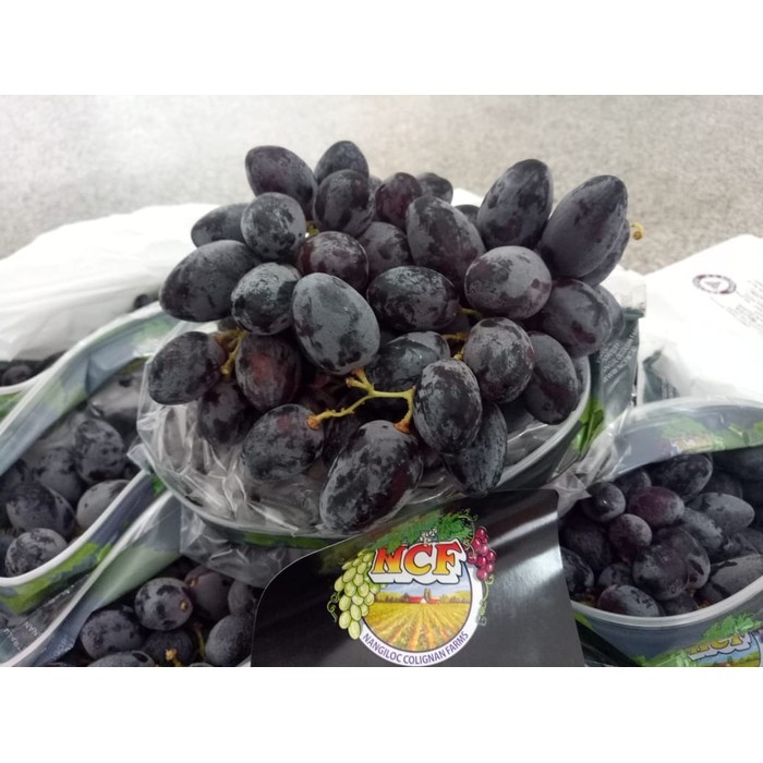 

Anggur Autumn / Anggur Hitam 250 gram