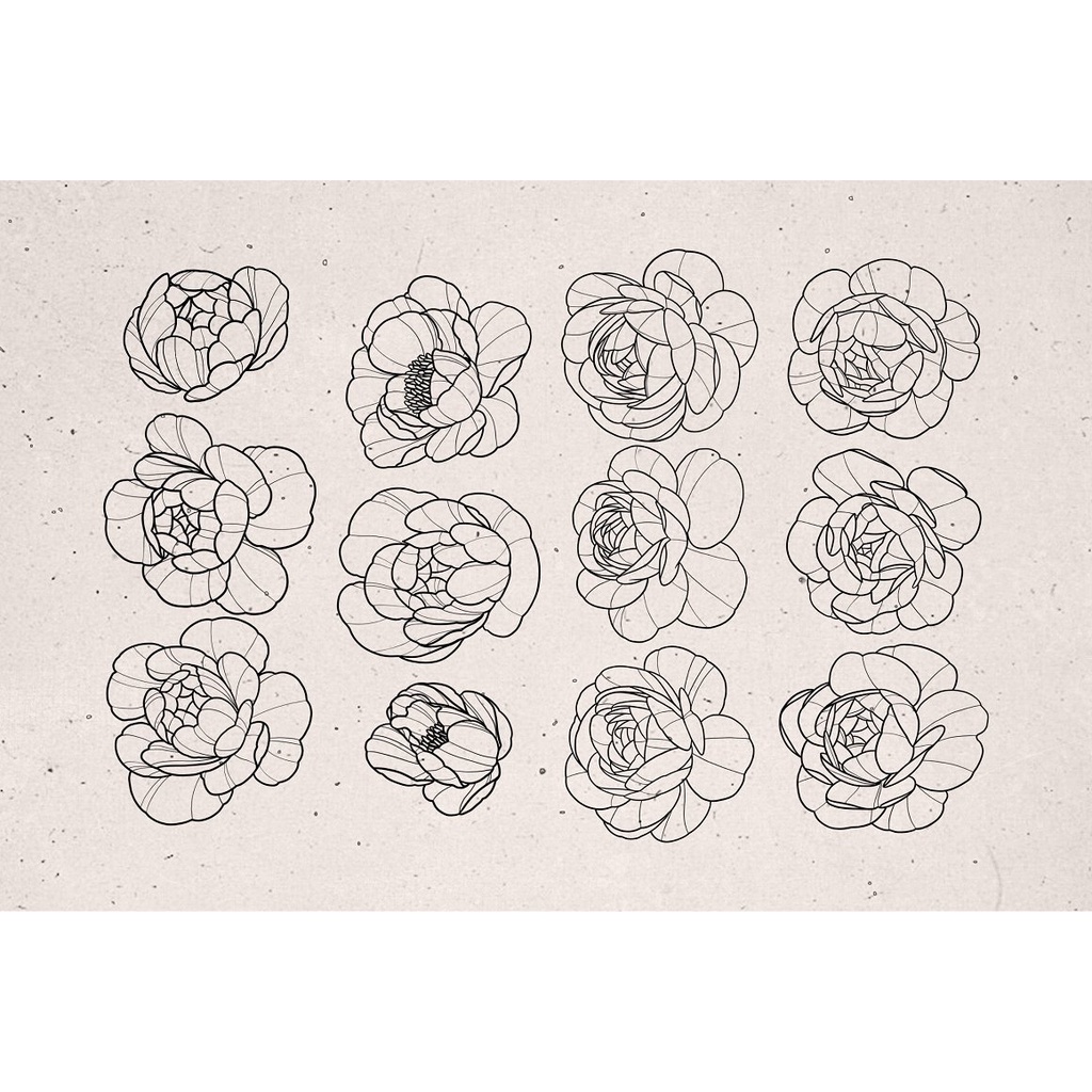 Procreate Brush - Peony Flower Stamps for Procreate