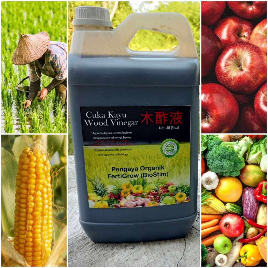 Wood Vinegar Cuka Kayu pupuk, nutrisi dan antihama anti hama organik 5 liter