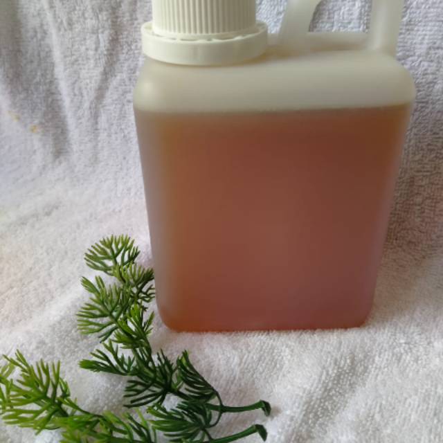 

MADU LEBAH HUTAN /MADU HUTAN ASLI