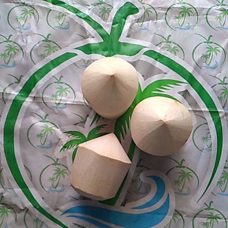 

Kelapa kupas diamond Hybrida