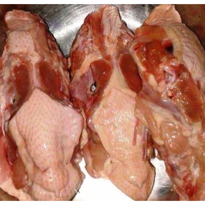 

Tulangan Ayam/Kerongkongan