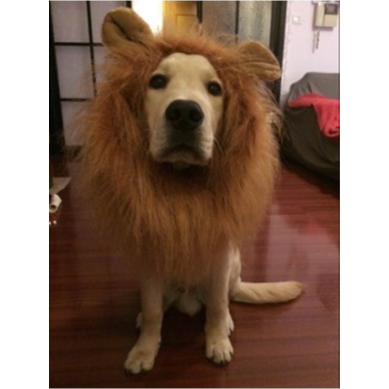 Dog Lion Wig Kostum Size Xl Wig Singa Untuk Kucing Anjing Besar
